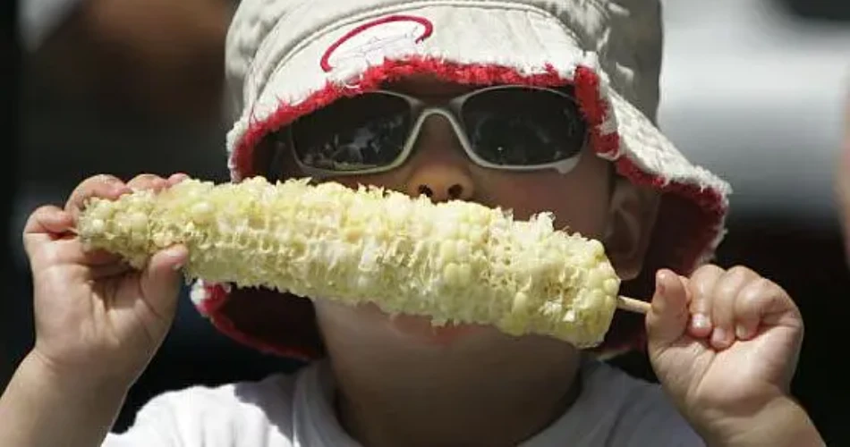 Best 10 Street Food in Downtown LA